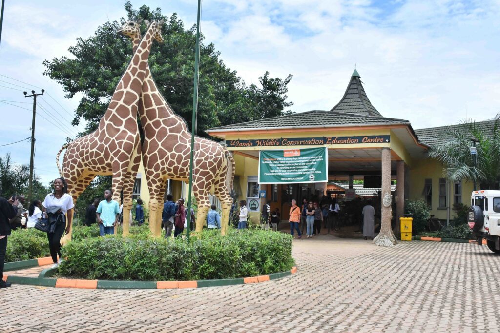 entebbe-zoo