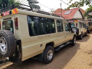 Safari Land Cruiser Rental Uganda