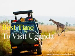 Best Time To Visit Uganda For Safari - Car Rental Uganda