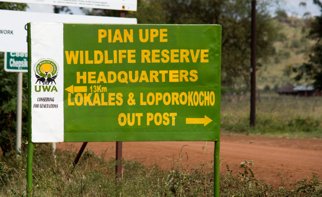Pian Upe Wildlife Reserve - Car Rental Uganda Entebbe