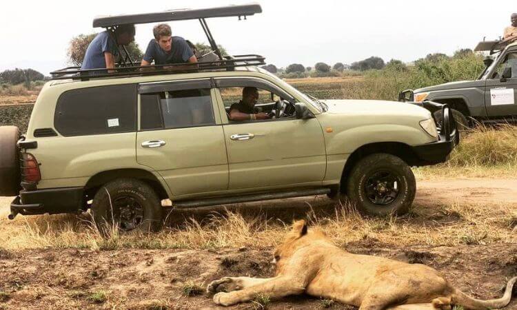 Toyota Land Cruiser GX Rental Uganda | Safari Vehicle Hire
