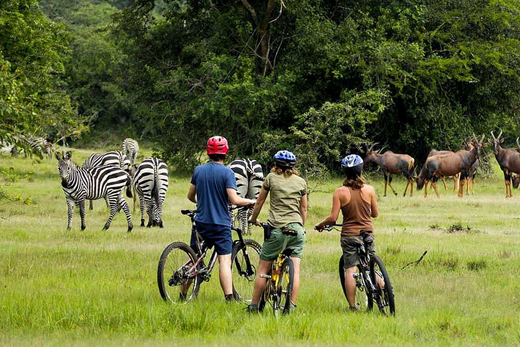 Lake Mburo National Park - car Rental Uganda Entebbe