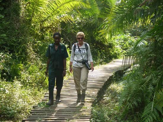 Uganda Wildlife Education Centre - Car Rental Uganda Entebbe